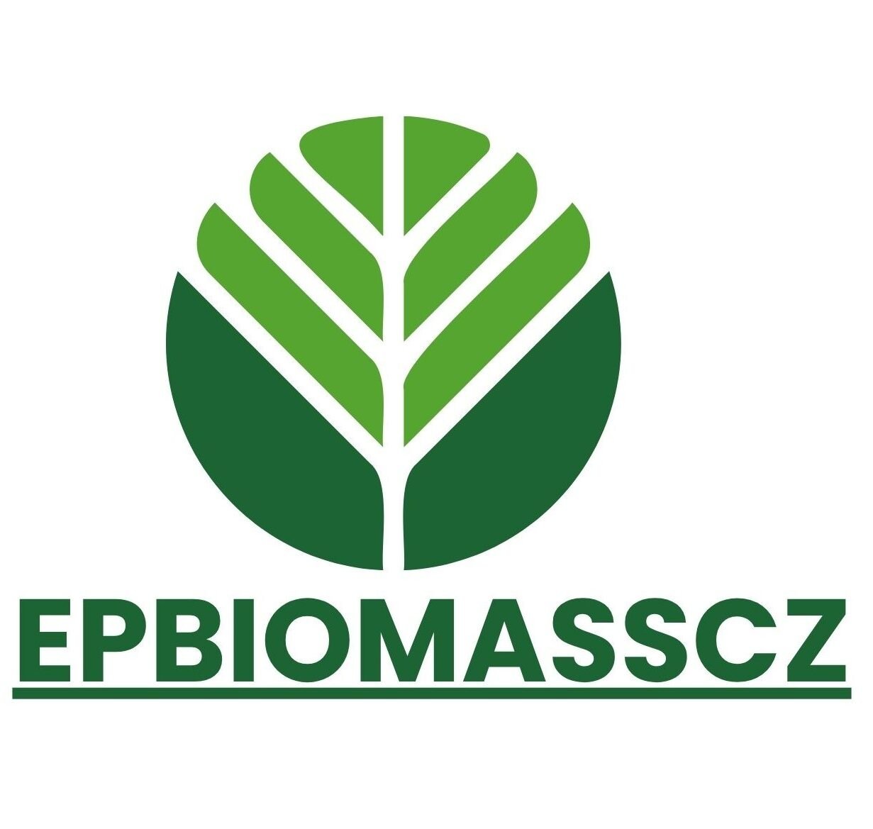 ep-biomasscz.com